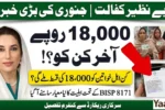 BISP 8171 January Payment Rs.18,000 – What Changed This Time and Who Actually Receives It