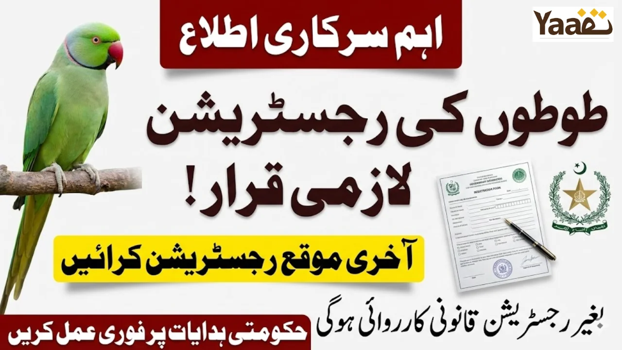 Mandatory Parrot Registration in Pakistan – Last Chance to Register Before Legal Action
